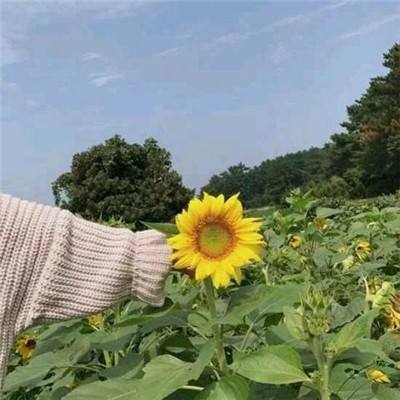 节奏大师无敌破解版下载