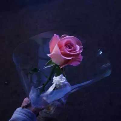 青云修仙诀流连互娱手游下载